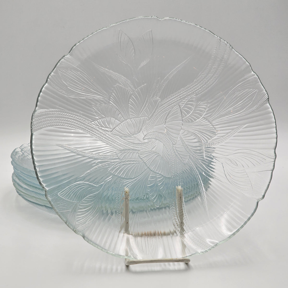 Arcoroc Canterbury Crocus Clear Glass Dinner Plates - Set of 8 — additional view
