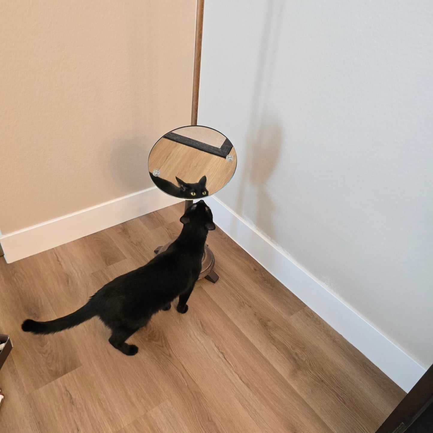 Antique Victorian Shaving Mirror 55"