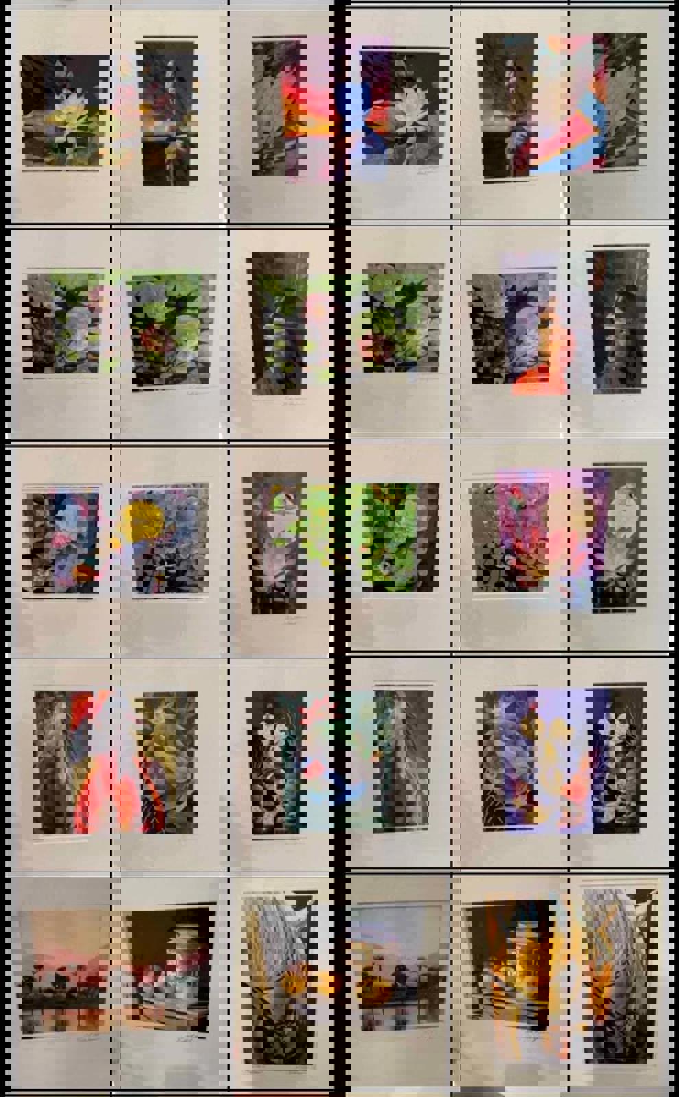 Local Arizona Artist Watercolor Prints