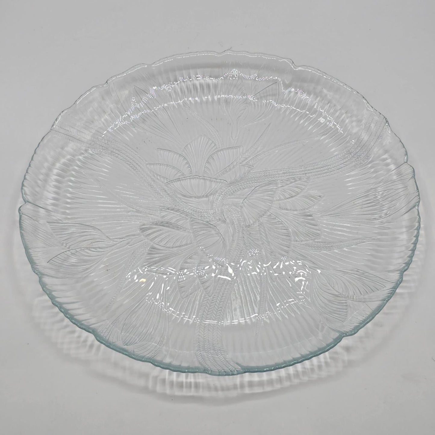 Arcoroc Canterbury Crocus Clear Glass Dinner Plates - Set of 8