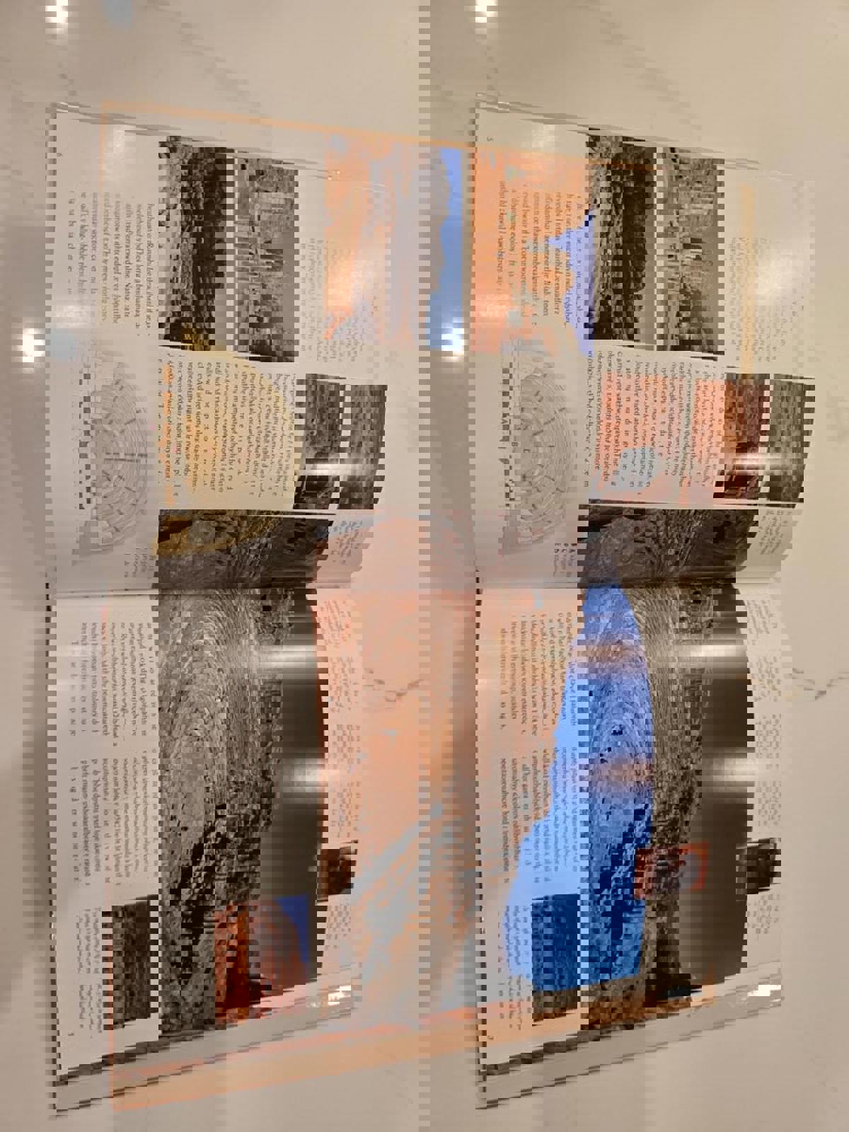 Petra Coffee Table Book