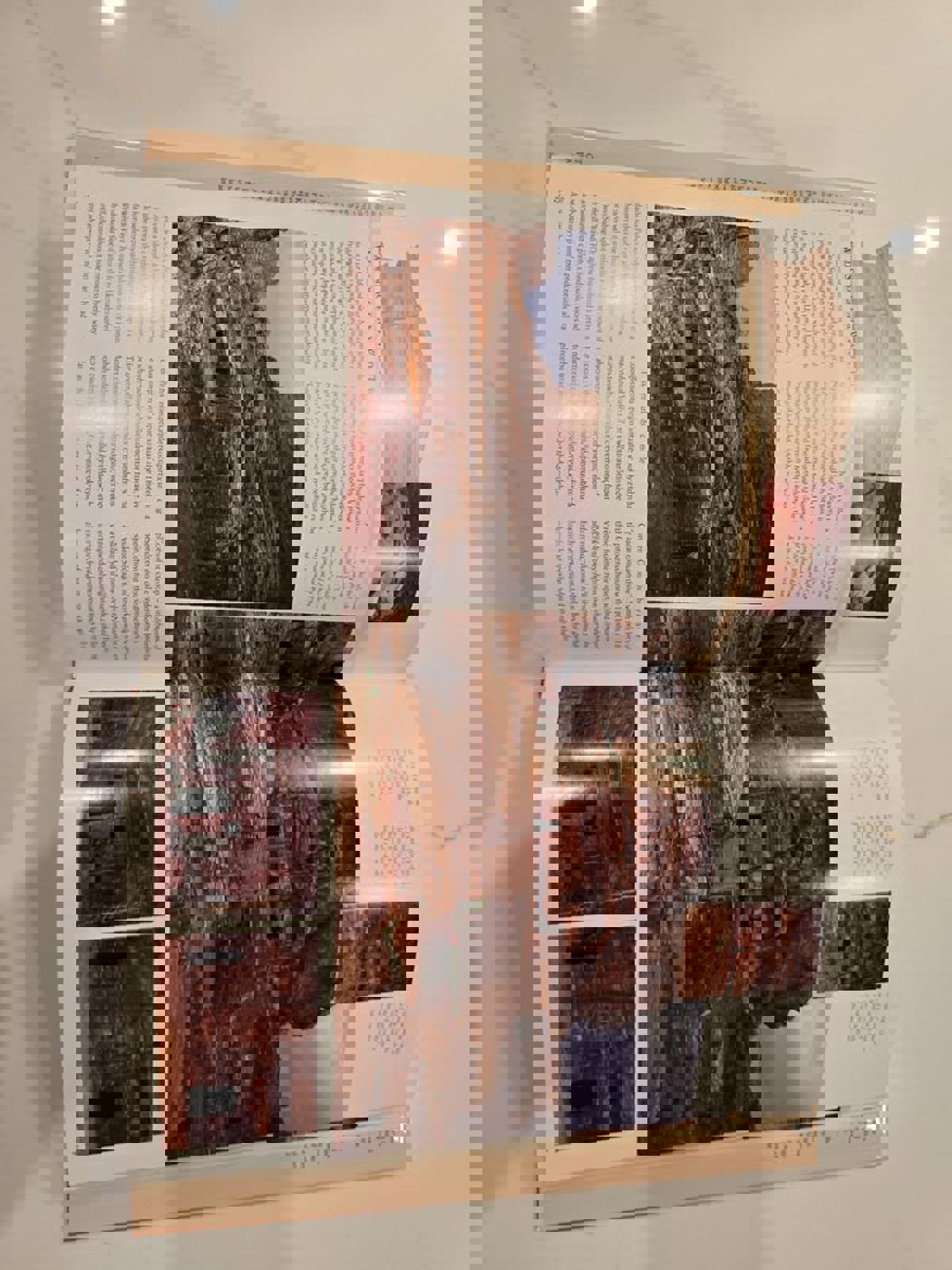 Petra Coffee Table Book