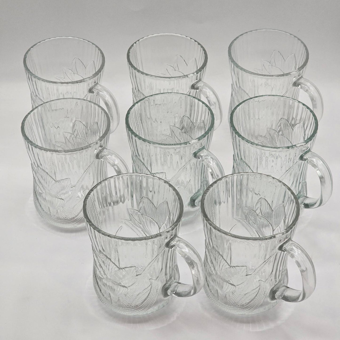 Arcorac Canterbury Crocus Clear Glass Mugs - Set of 8