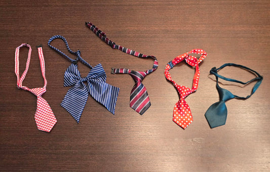 Adorable Set of Five (5) Pet Neckties