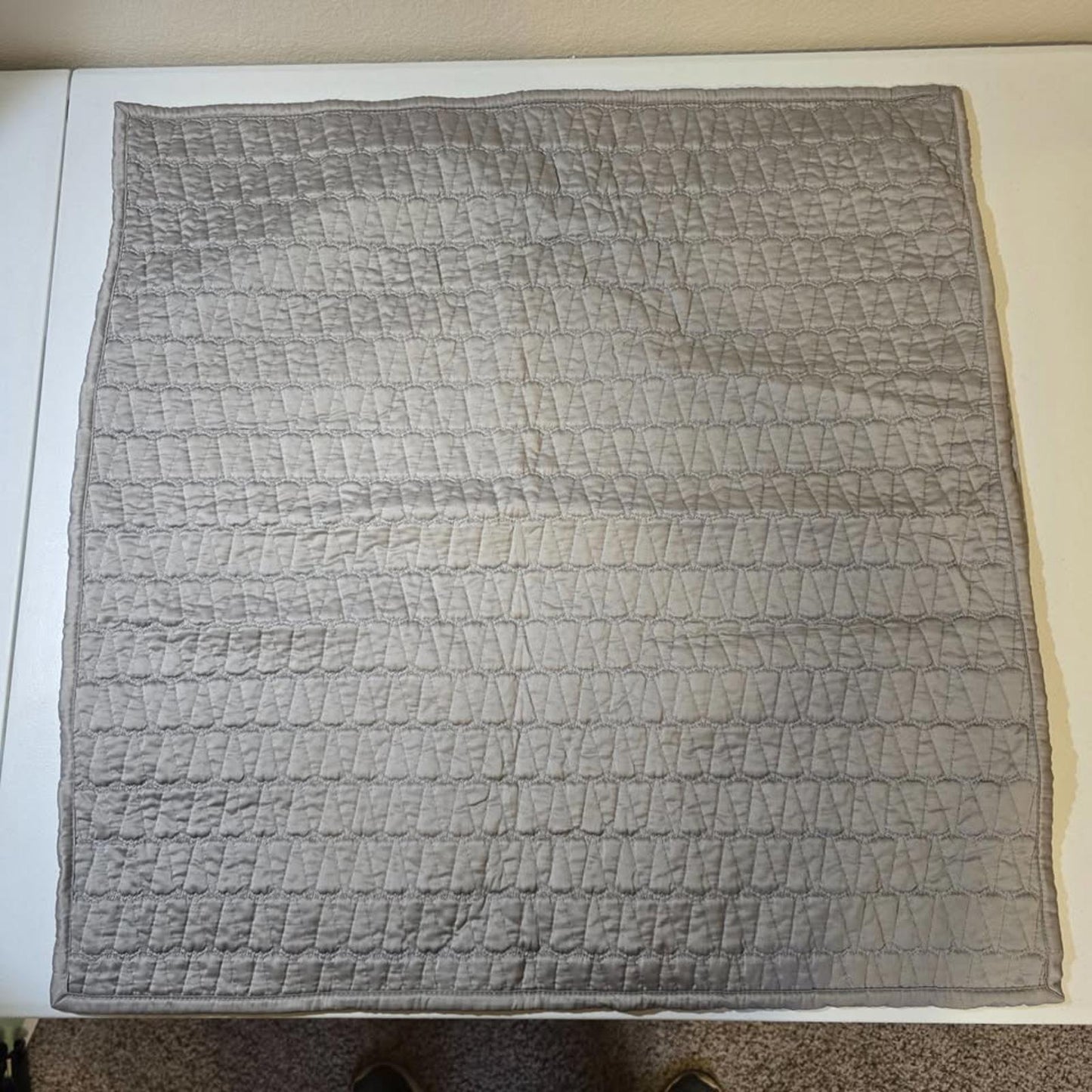 West Elm Euro Sham Cases - Gray