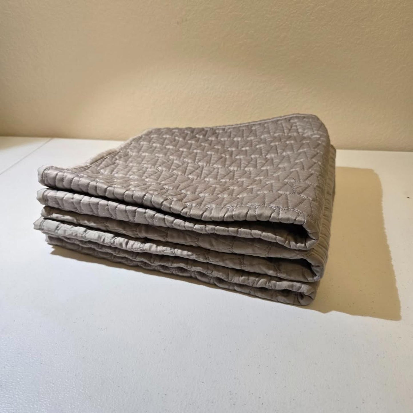 West Elm Euro Sham Cases - Gray