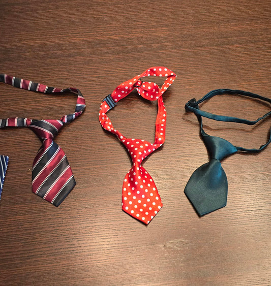 Adorable Set of Five (5) Pet Neckties