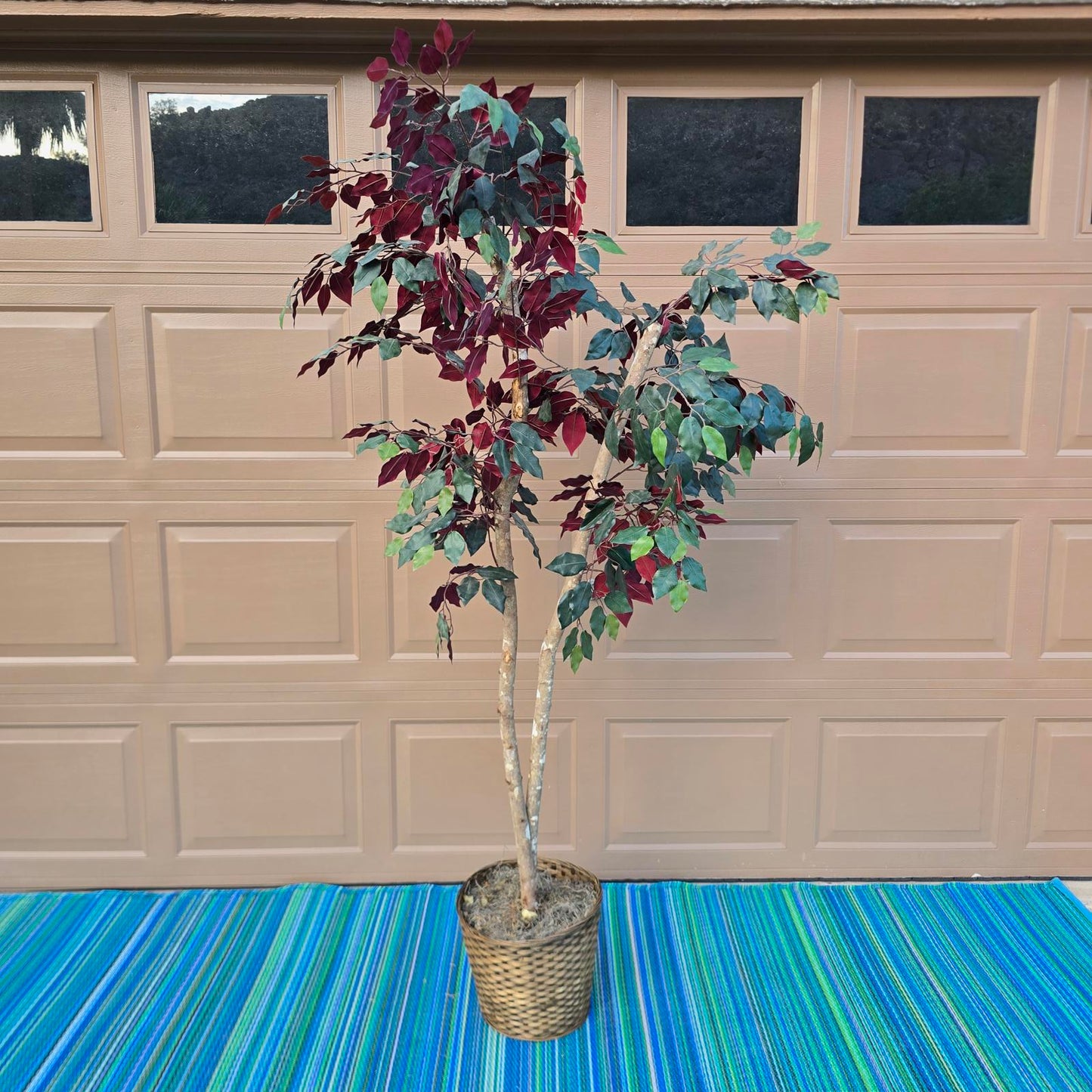 Fabulous Faux Ficus Tree- 6ft