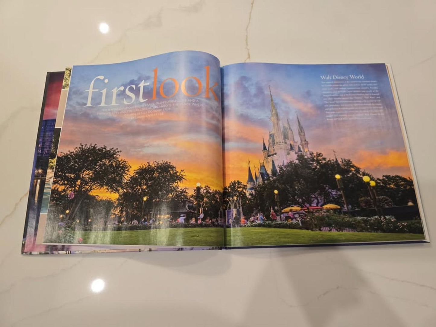 Orlando Coffee Table Book