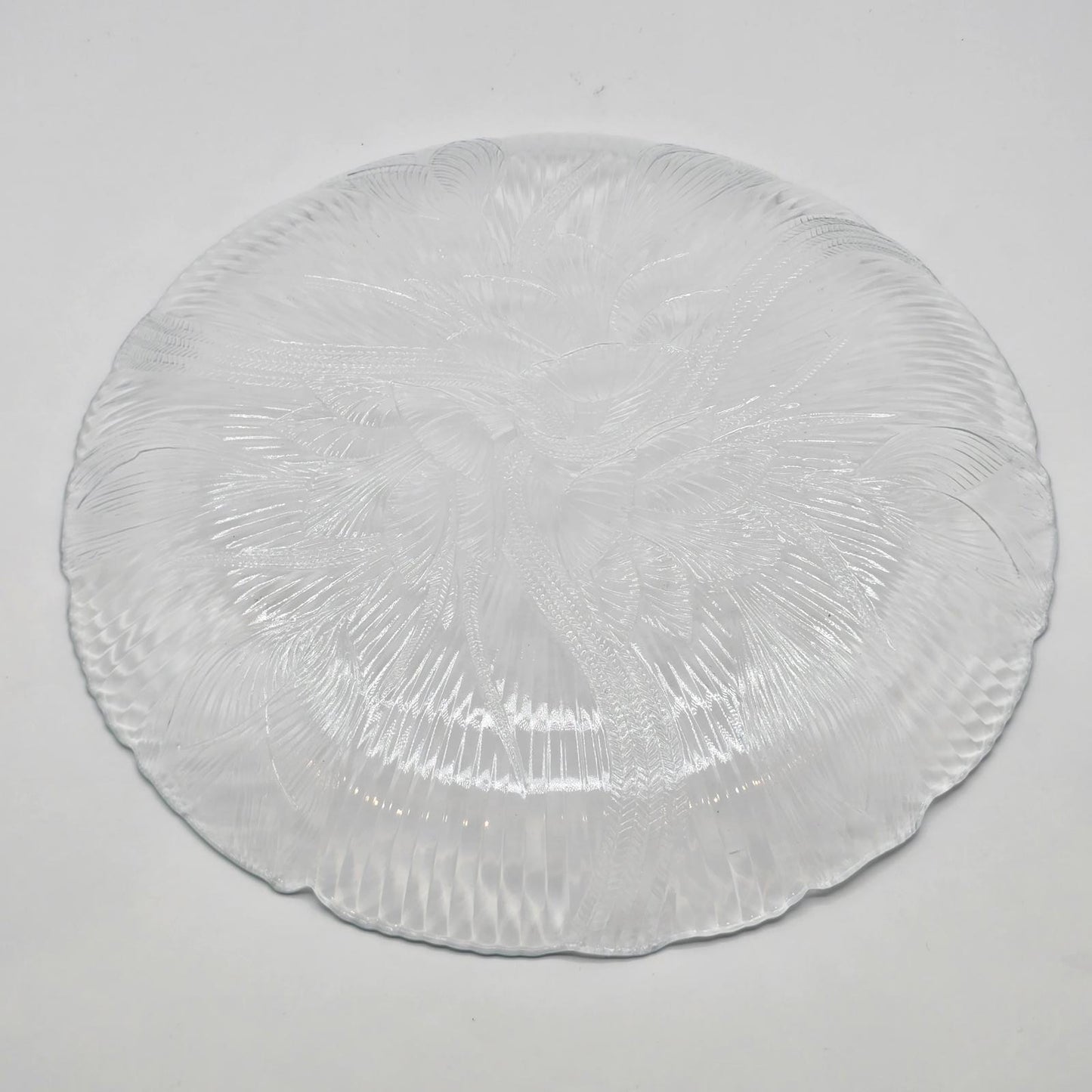 Arcoroc Canterbury Crocus Clear Glass Dinner Plates - Set of 8