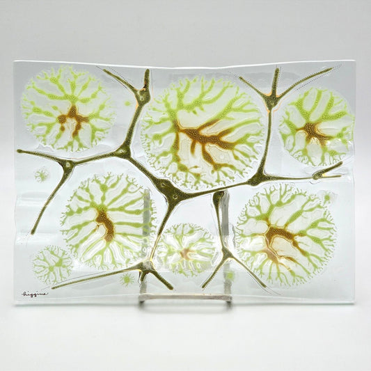 Vintage Higgins Fused Art Glass Tray Green Abstract MCM Signed 10" x 7"