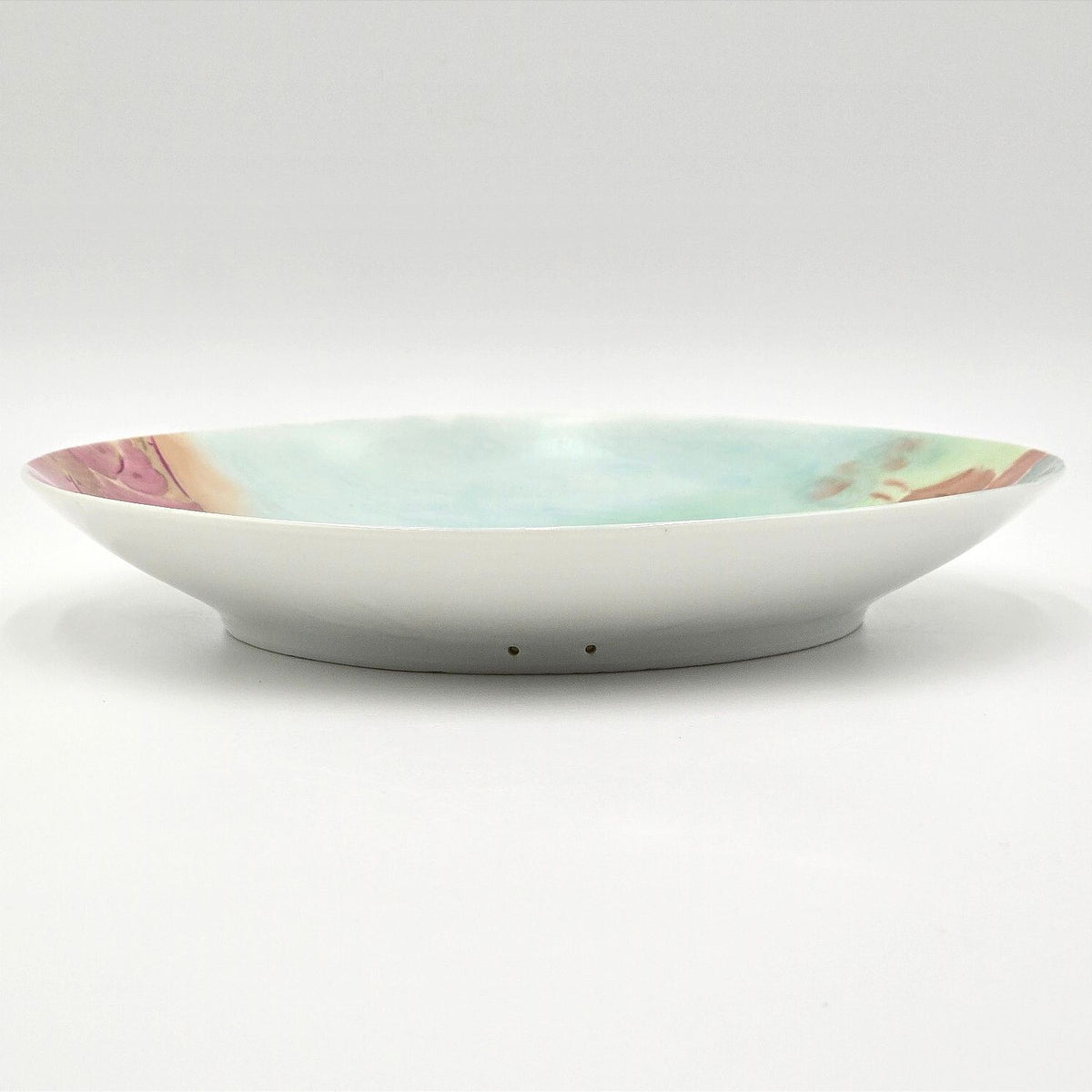 Antique Hand-Painted Floral Plate